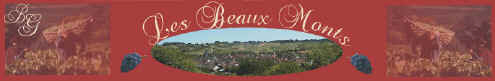 Domaine Les Beaux Monts - Brice GARLAN - viticulteur à Irancy - Bourgogne
